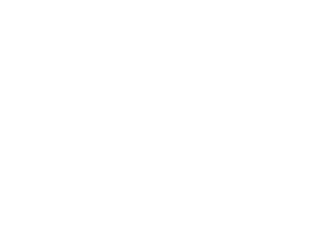 L'Observatoire de l'émergence en Afrique