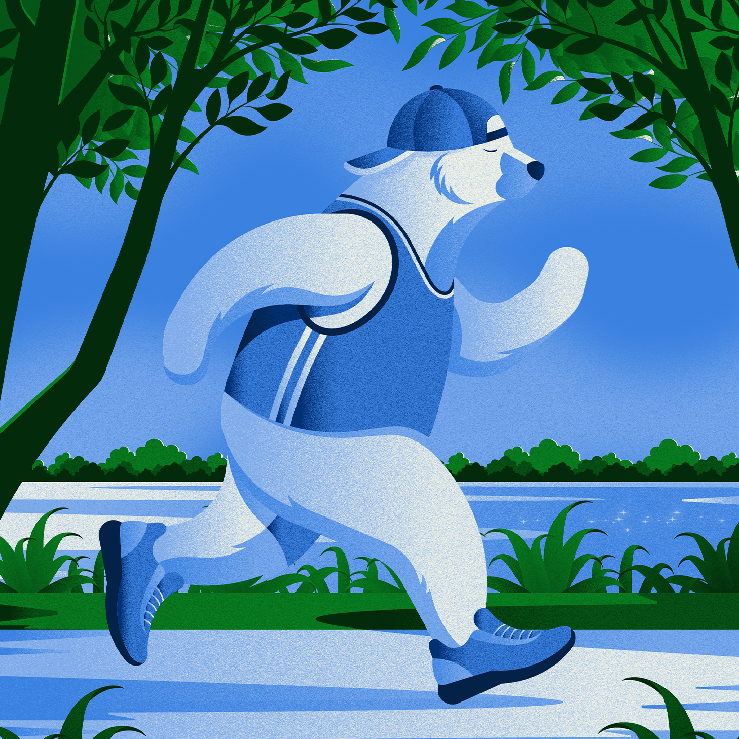 Illustration éditoriale jeunesse d'un ours polaire en tenue de sport (casquette, débardeur, short) en train de courir le long d'une rivière